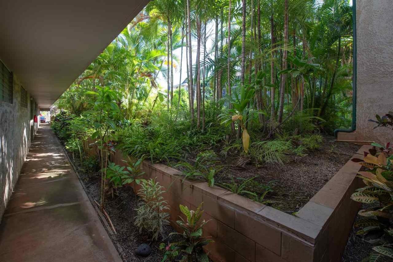 Ferienwohnung Maui Tranquility II Kīhei Exterior foto